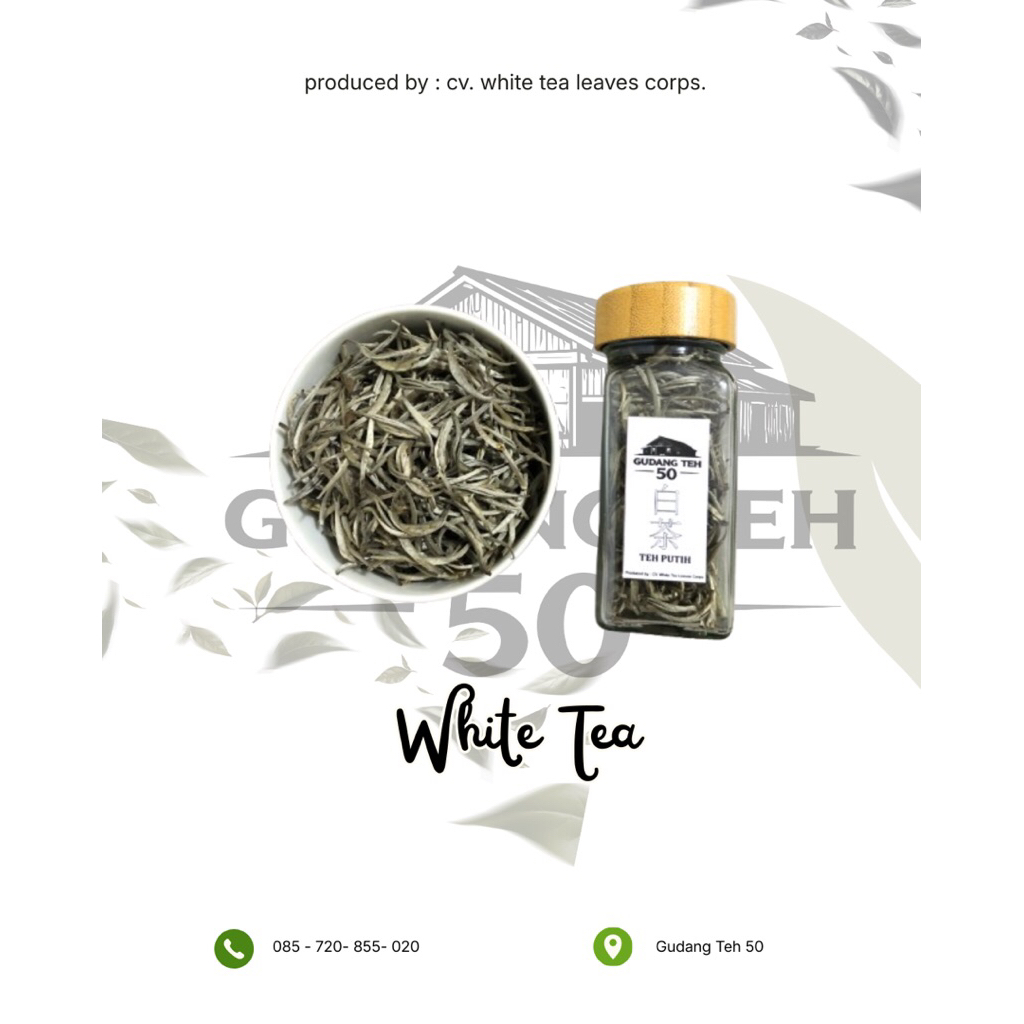 White Tea | Teh Putih Asli | Teh Putih Original | Teh kesehatan | Teh Alami