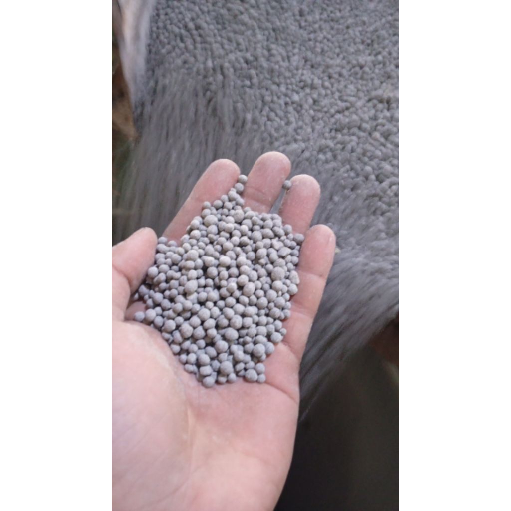 Pupuk Sp36 Non subsidi 5kg