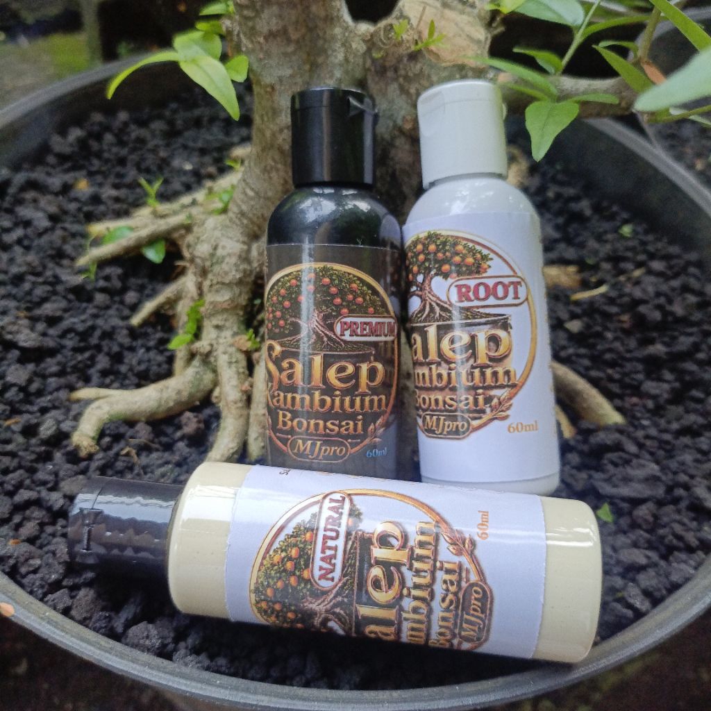 DBS Variasi Salep kambium Bonsai MJpro 60ml, Premium, Root, Natural