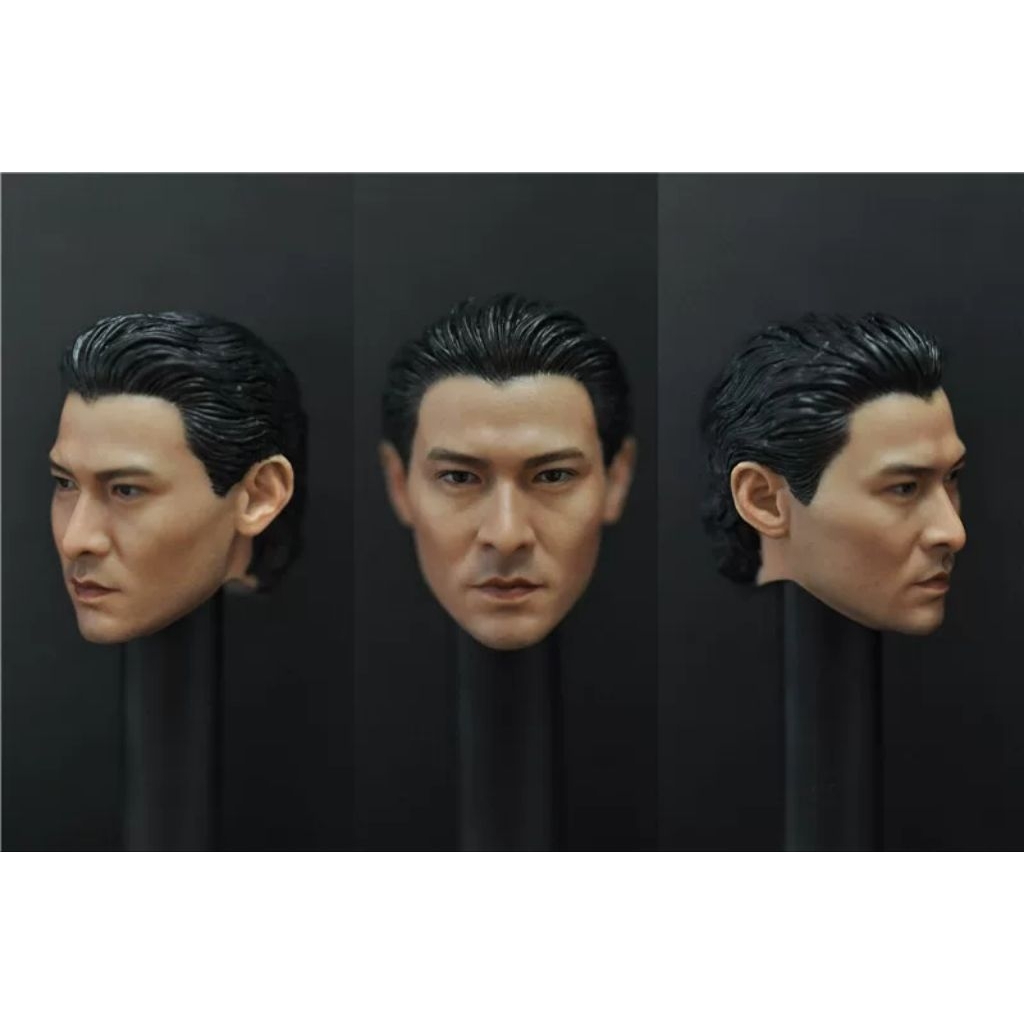 1/6 HS Headsculpt Andy Lau Figure