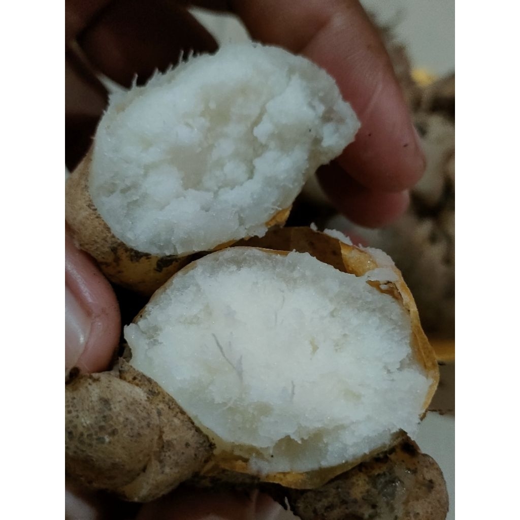 Gembili ketan 1kg