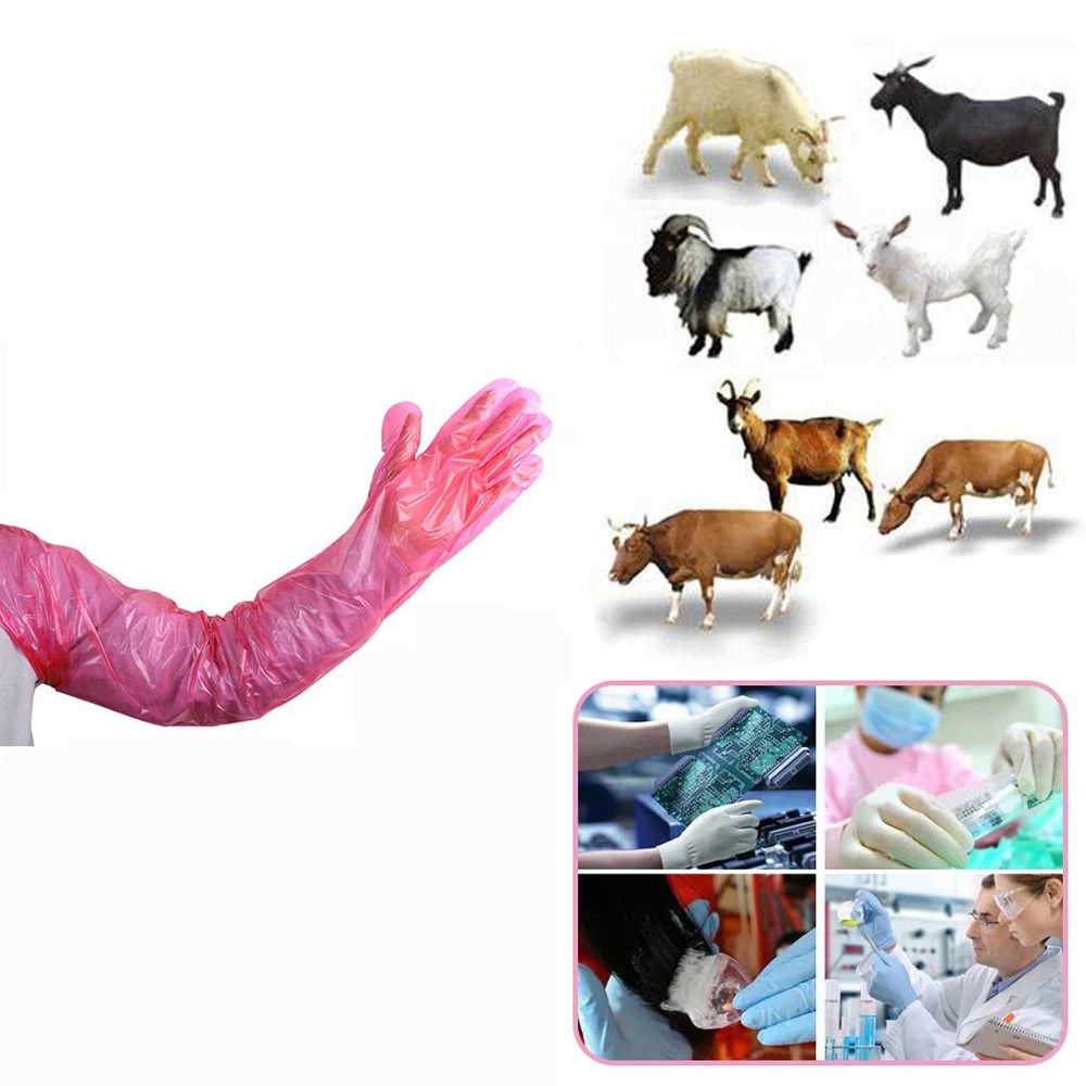 50Lembar Glove IB 5 Jari Sarung Tangan Inseminasi Buatan (IB) Plastik Tangan Glove IB 90cm