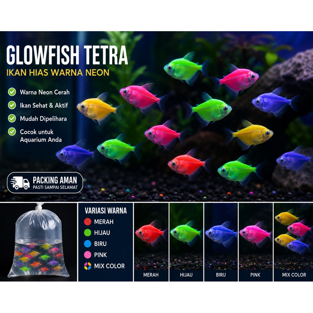 Ikan Tetra Glowfish Cantik untuk Aquarium Aquascape
