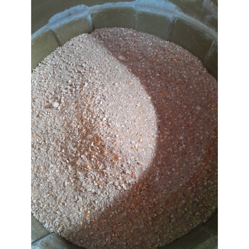 pakan ayam petelur