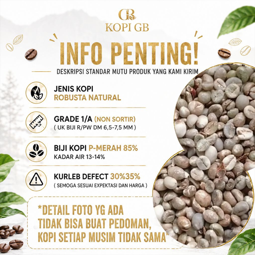 biji kopi mentah kering  robusta Lampung asalan READY SIAP KIRIM 15kg