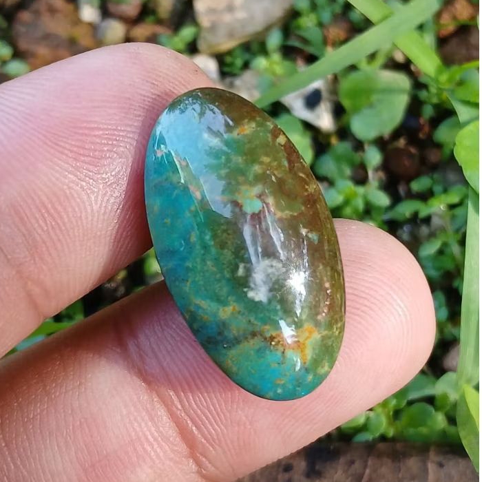 pirus persia ijo lawas