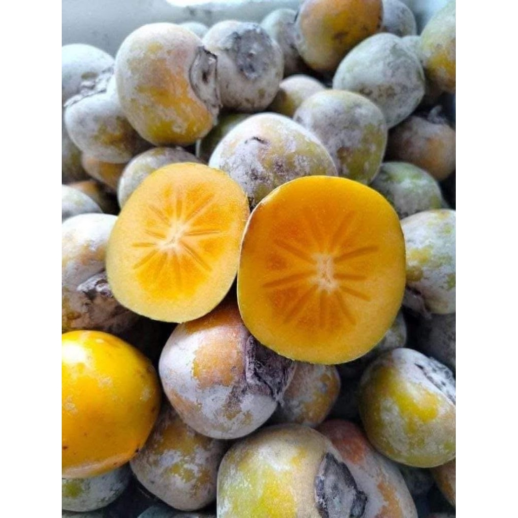 buah kesemek