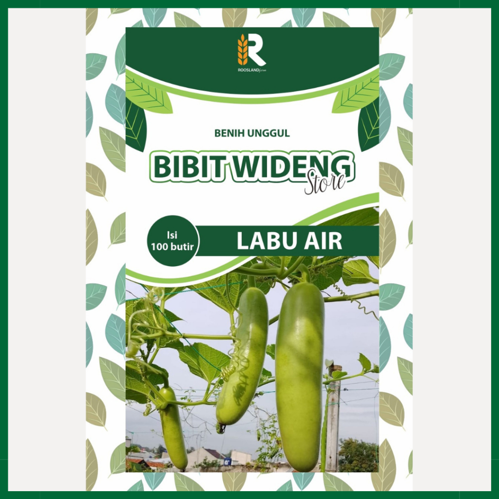 ( 100 BENIH ) LABU AIR PANJANG | LABU SAYUR | KALABAS | LABU AIR HIJAU