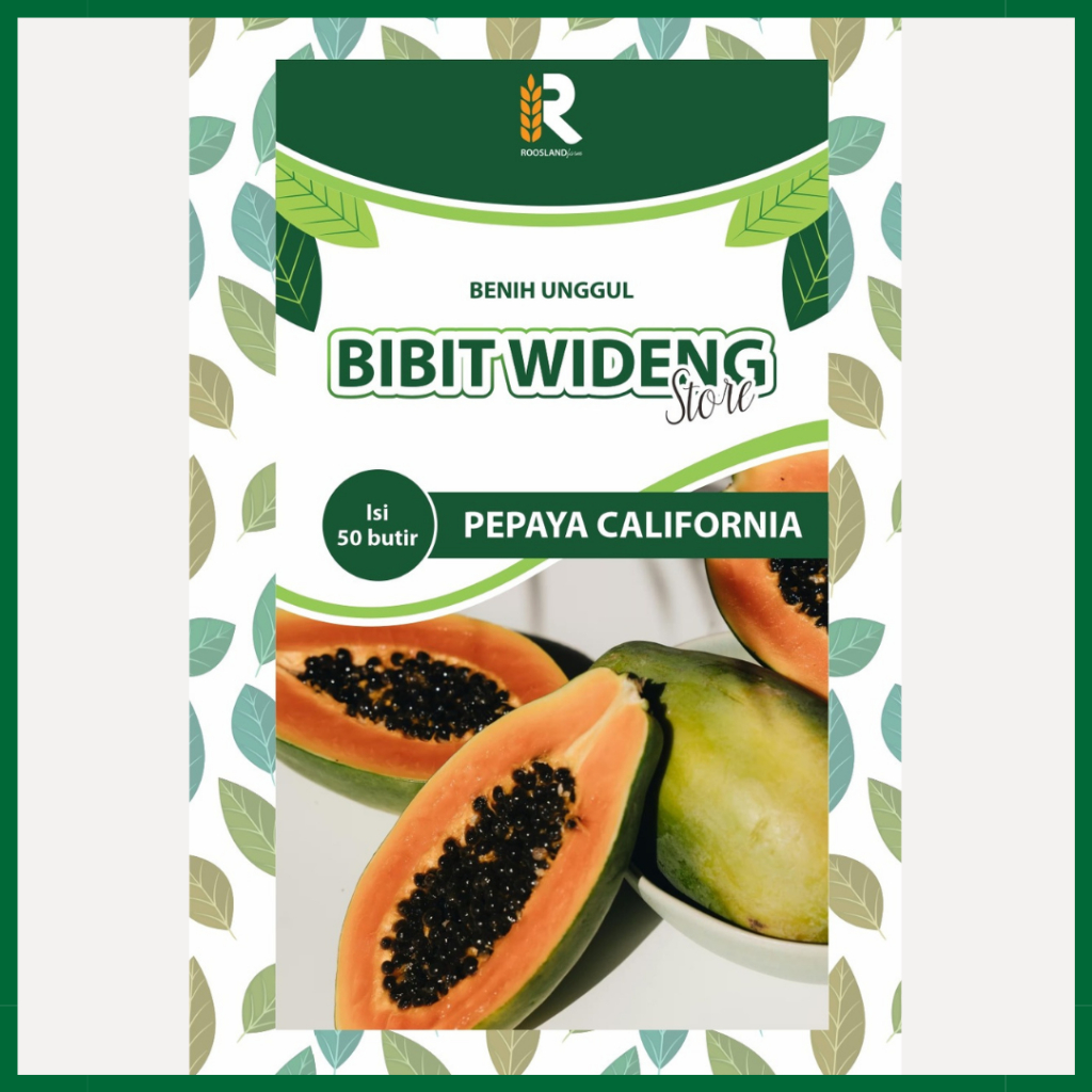 ( 50 BENIH ) BUAH PEPAYA CALIFORNIA | PEPAYA BESAR MANIS | PEPAYA RIMBUN