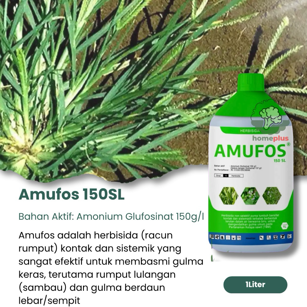 Herbisida AMUFOS 150SL Kontak Sistemik Membasmi Rumput Lulangan, Rumput Daun Lebar/Sempit