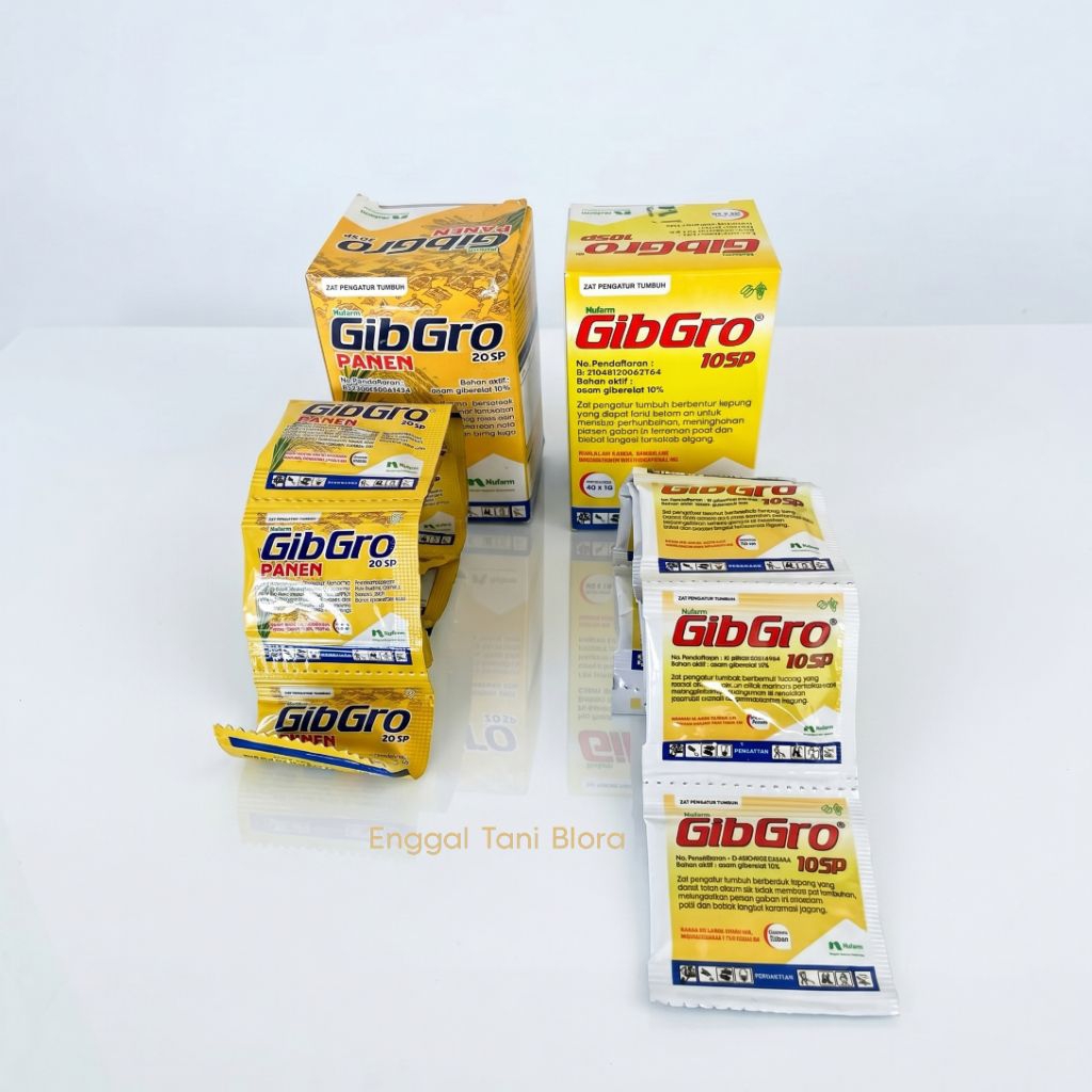 Gibgro 10sp dan Gibgro Panen ZPT pertumbuhan dan Buah