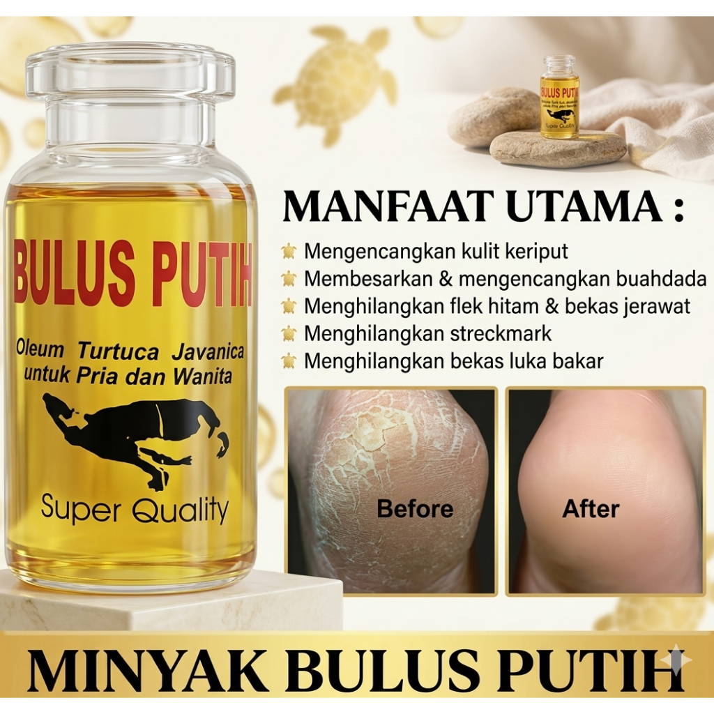 MINYAK BULUS PUTIH ORI ASLI ORIGINAL