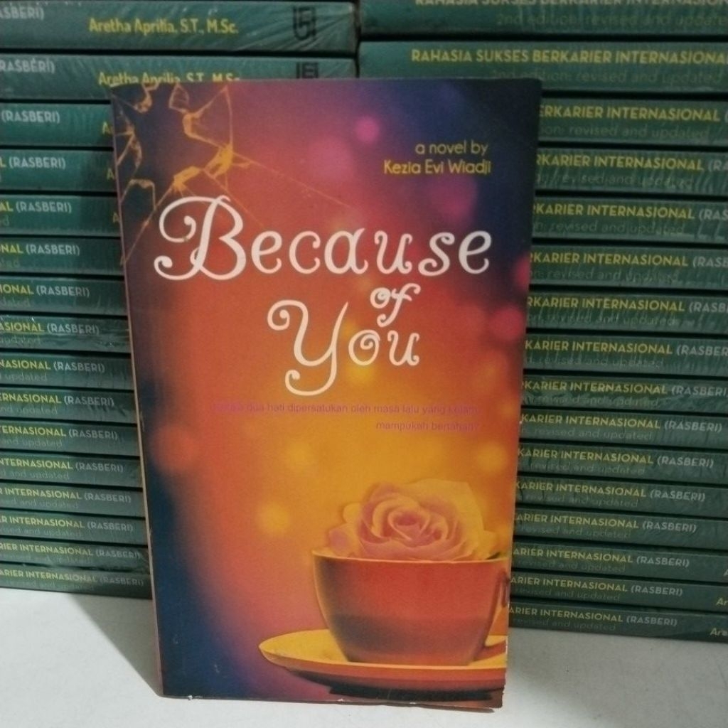 NOVEL BECAUSE OF YOU