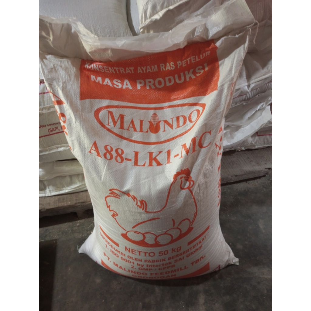 Konsentrat ayam petelur 1kg