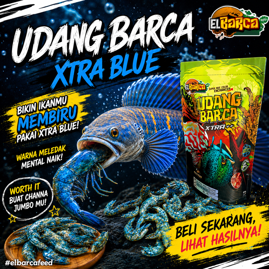 UDANG XTRA SUPER BLUE  Pertajam warna biru putih silver ikan channa arwana predator jumbo 20 cm up