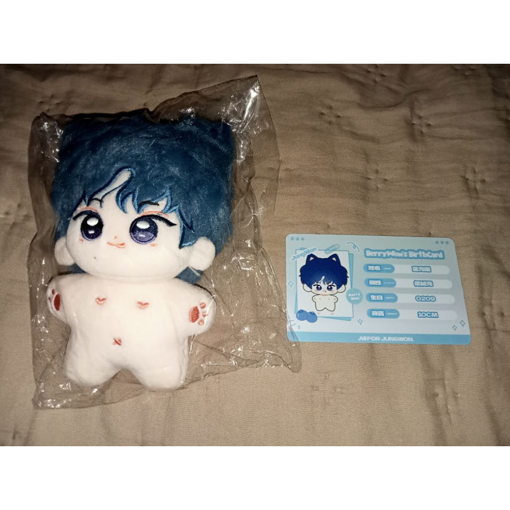 Enhypen Jungwon 10cm human doll Berrywon