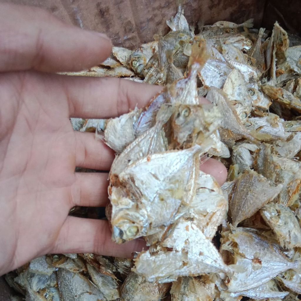 ikan asin petek kecil kering