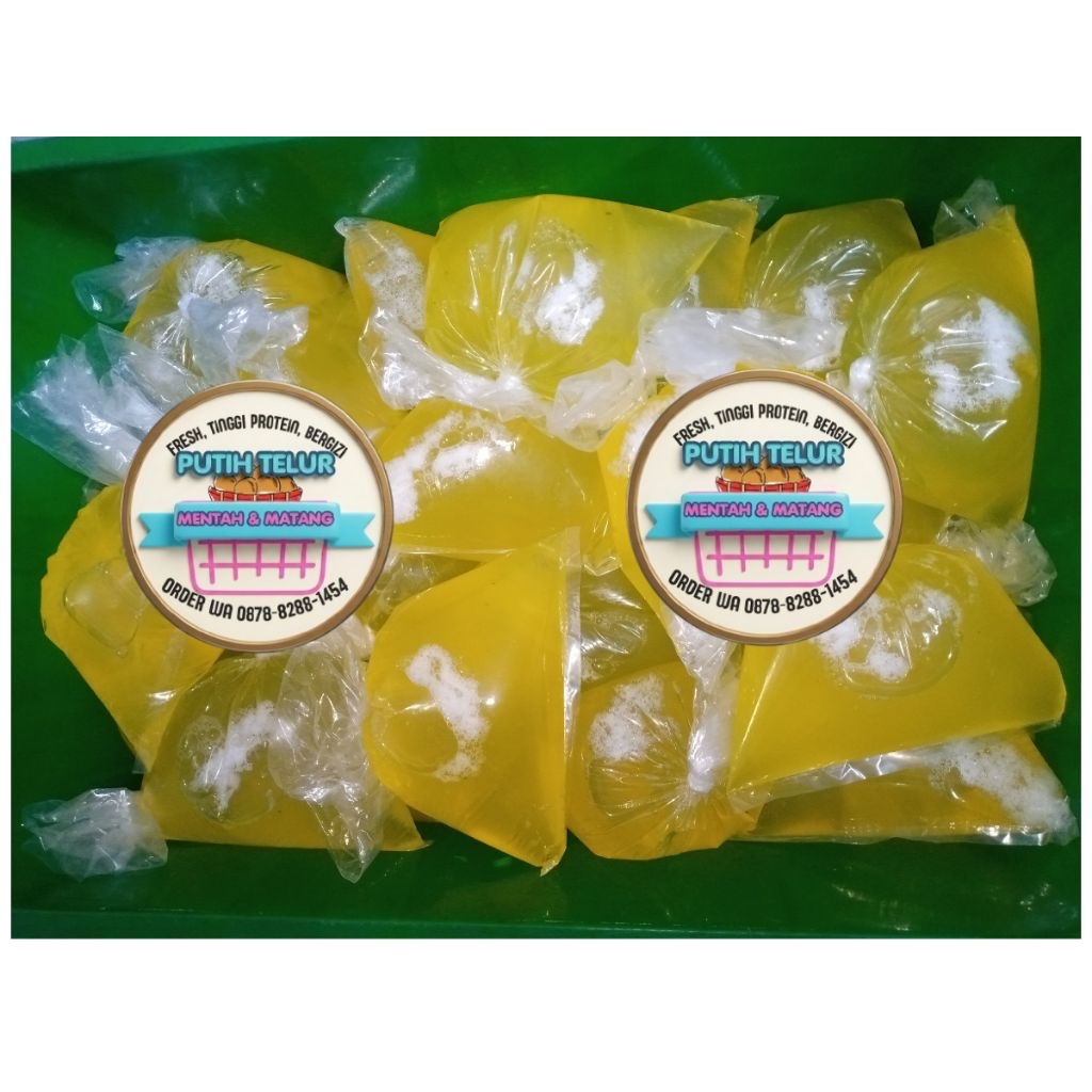 Putih Telur fresh 1kg