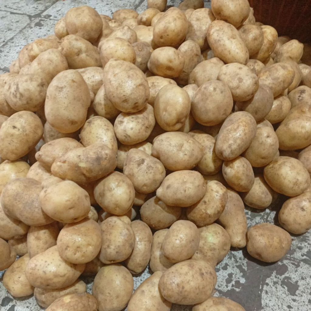 kentang Dieng 1kg