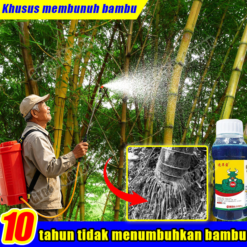 racun bambu paling ampuh original 100g herbisida pembasmi rumput liar herbisida pembunuh pohon besar