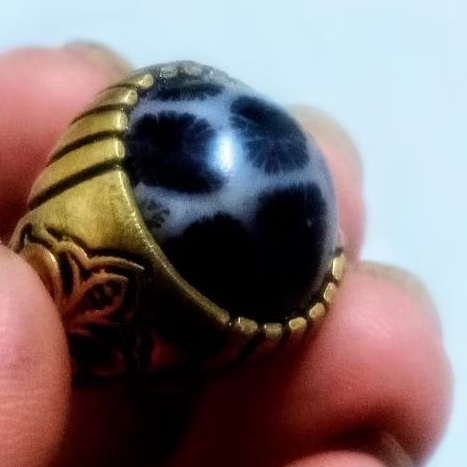 Batu Cincin Akik Pria Coral Marjan