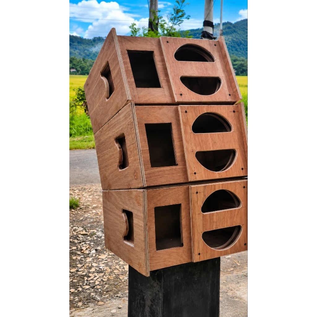 Box line array Vera 10 inch custom by HK 110