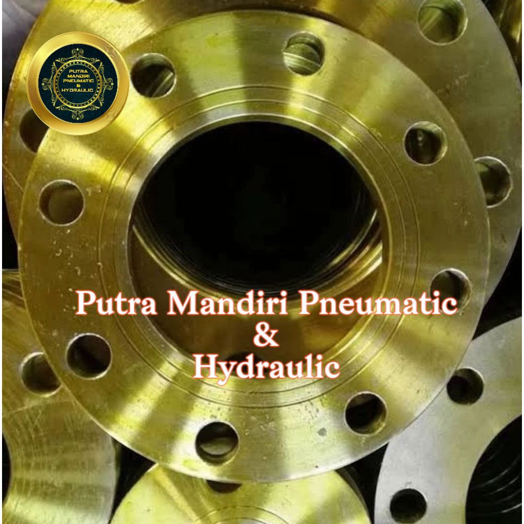 Flange Carbon Steel 4" Inch JIS 10K / Flange Besi 4" Inch JIS 10K