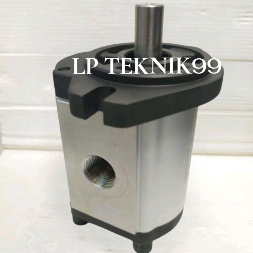 GEAR PUMP VICKING 20cc BHP2AO-20