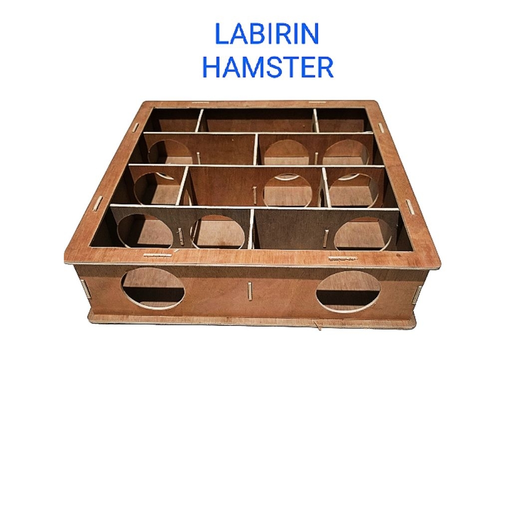 Labirin Hamster