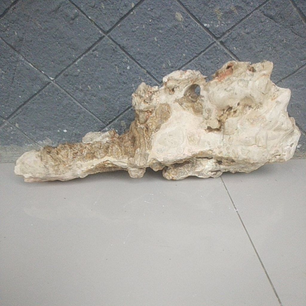 batu karang gunung suiseki