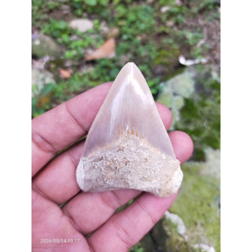 batu temuan galian