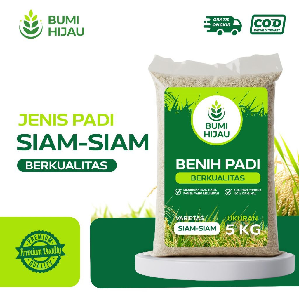 Benih padi bibit padi SIAM SIAM kemasa 5 kg