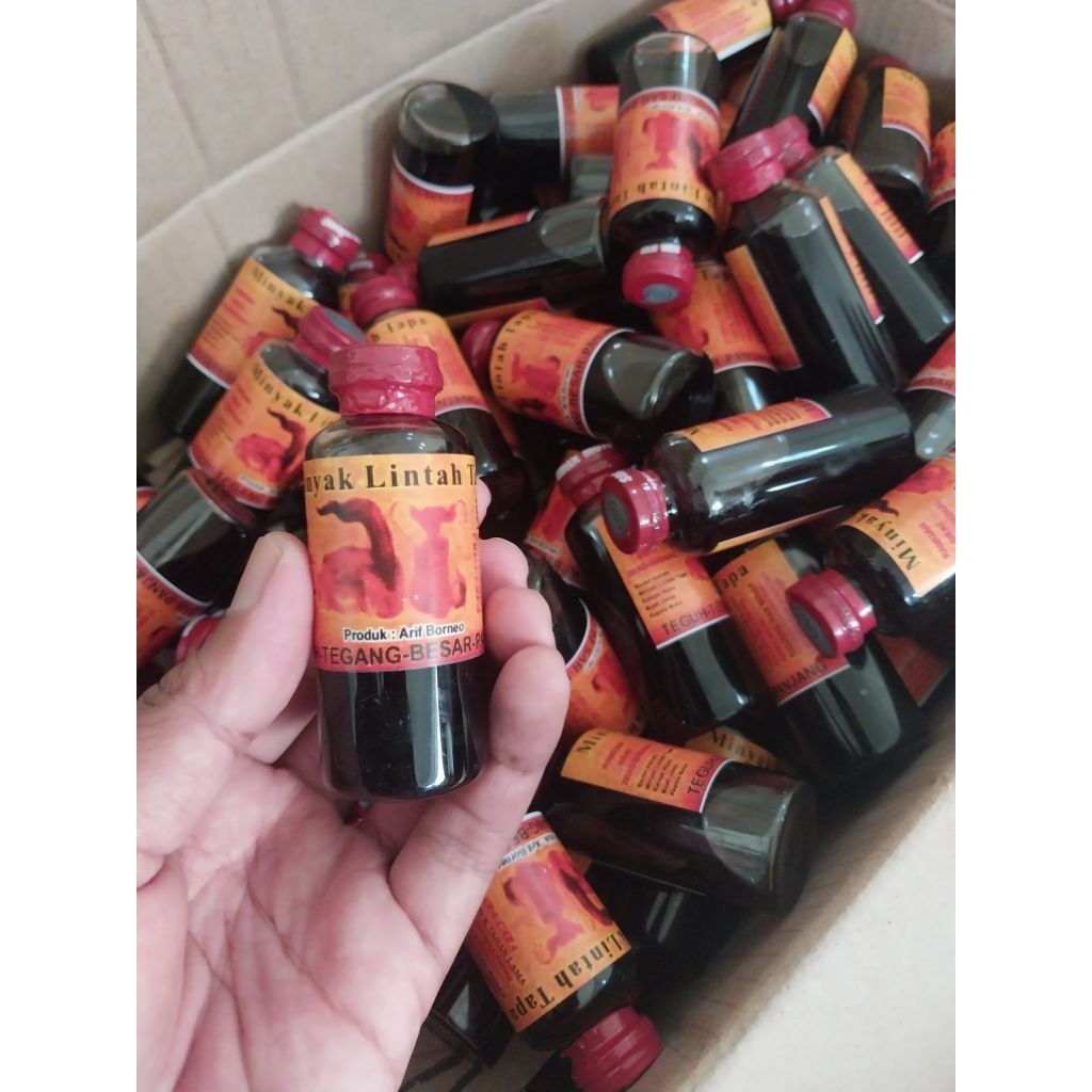 Minyak Lintah Kalimantan Asli Borneo