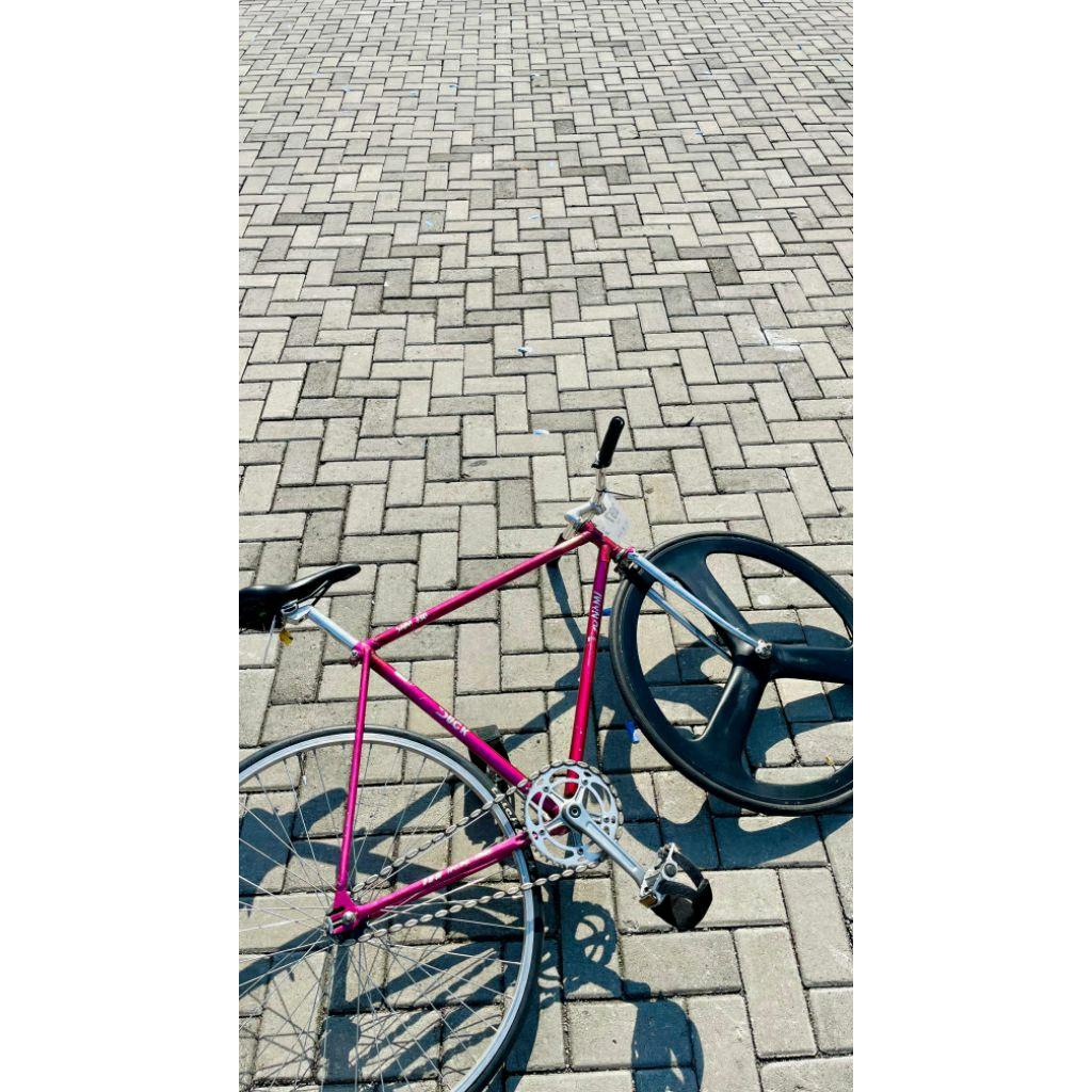 Sepeda fixie custom