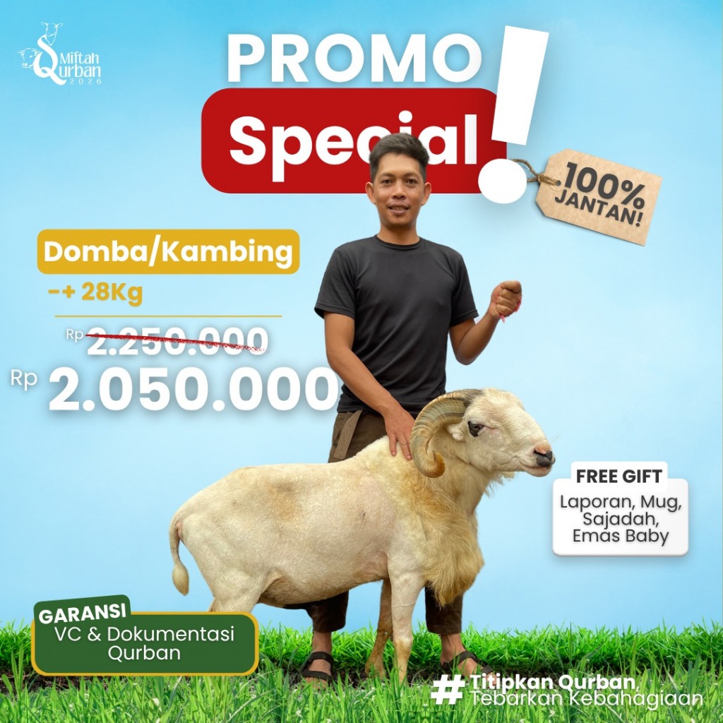 Qurban 2026 Domba/Kambing Jantan ±28KG Harga Promo 2,05JT | Live Penyembelihan & Dokumentasi