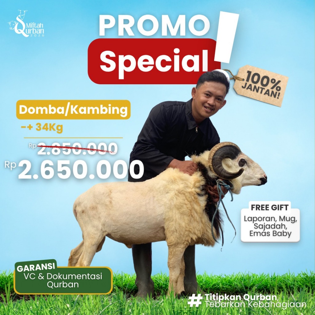 Qurban 2026 Domba/Kambing Jantan ±34KG Harga Promo 2,65JT | Live Penyembelihan & Dokumentasi