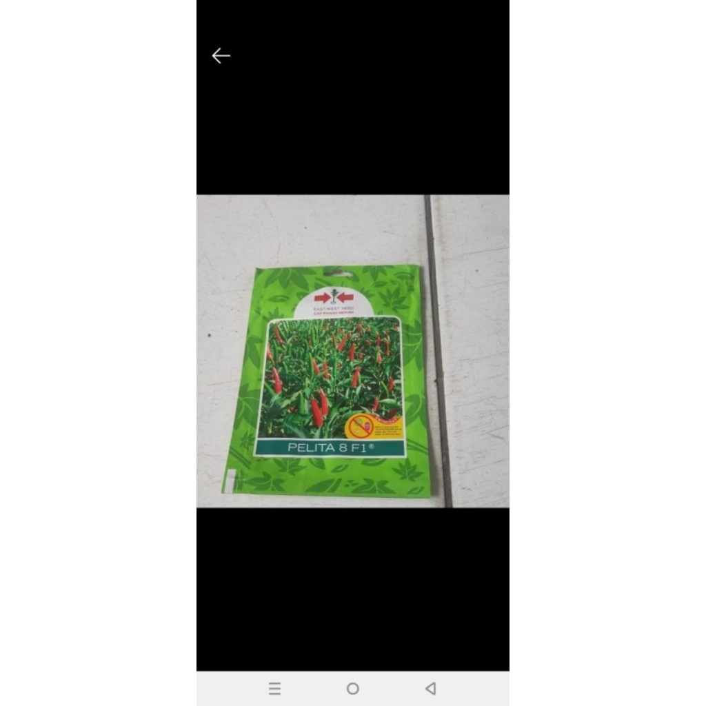 Benih/Bibit cabe rawit Pelita F1 350 butir