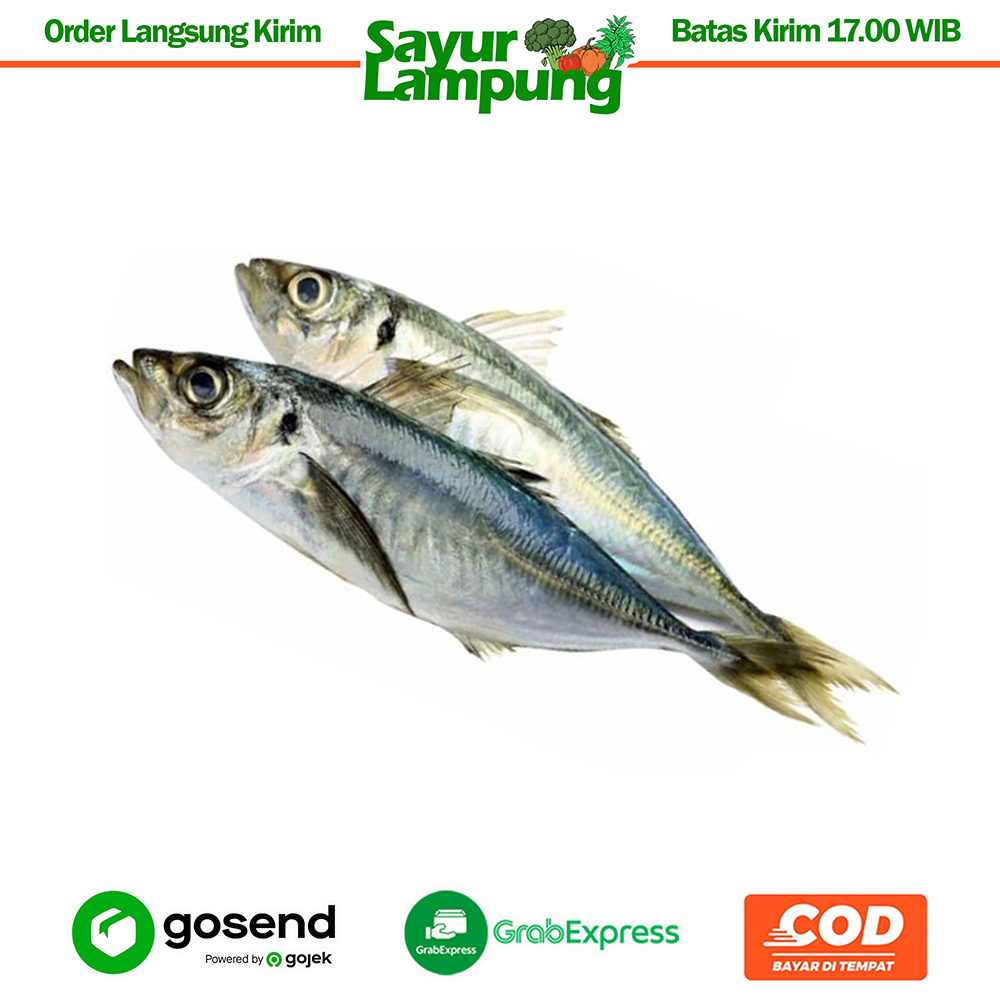 Ikan Layang Segar 1 Kg - Sayur Lampung
