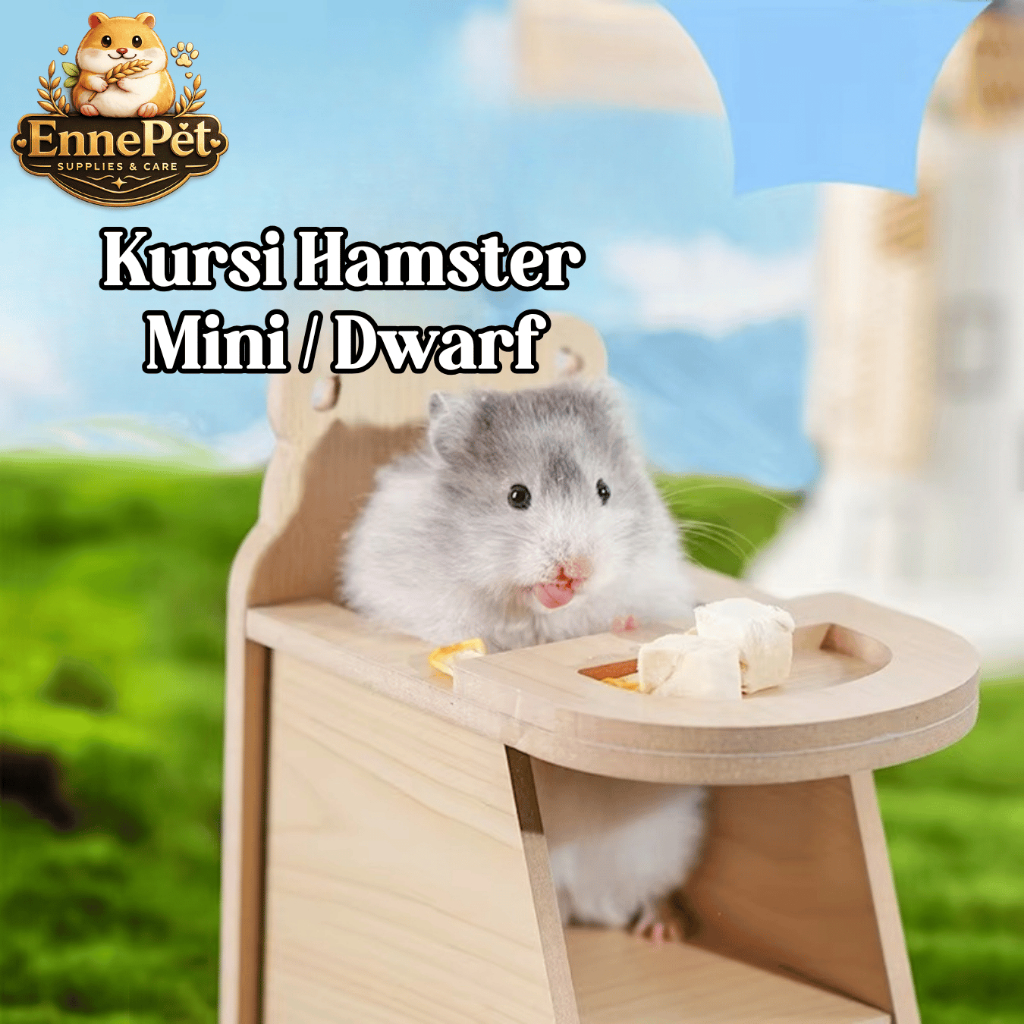 Kursi Meja Makan Hamster Mini Dwarf Syrian Tempat Makanan Hamster, Sugar Glider