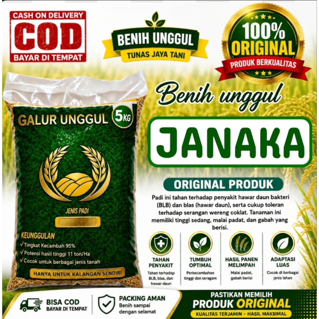 BENIH PADI JANAKA