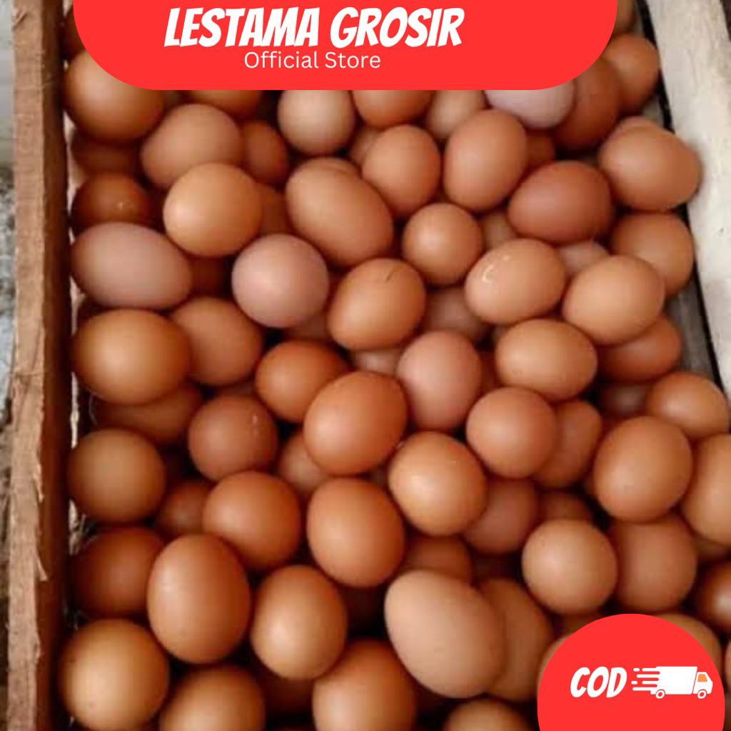 TELUR AYAM 1 KG D I YOGYAKARTA