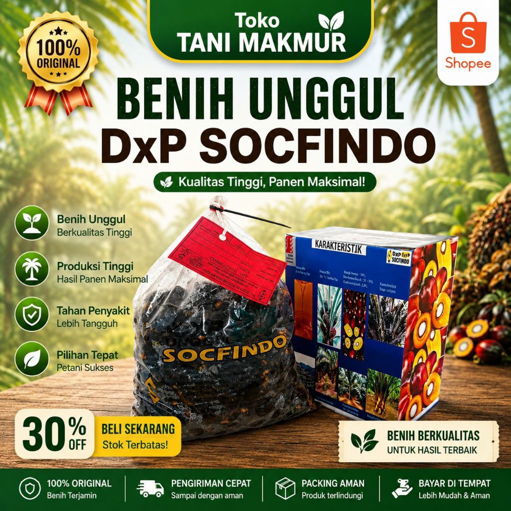 bibit sawit unggul socfindo berkualitas butiran