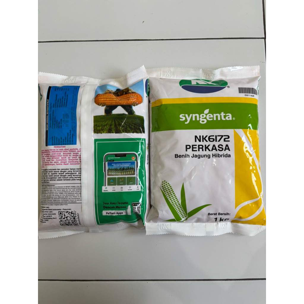 benih jagung NK perkasa 6172  kemasan (1kg) #bibit jagung #benih perkasa #jagung perkasa#NK perkasa 