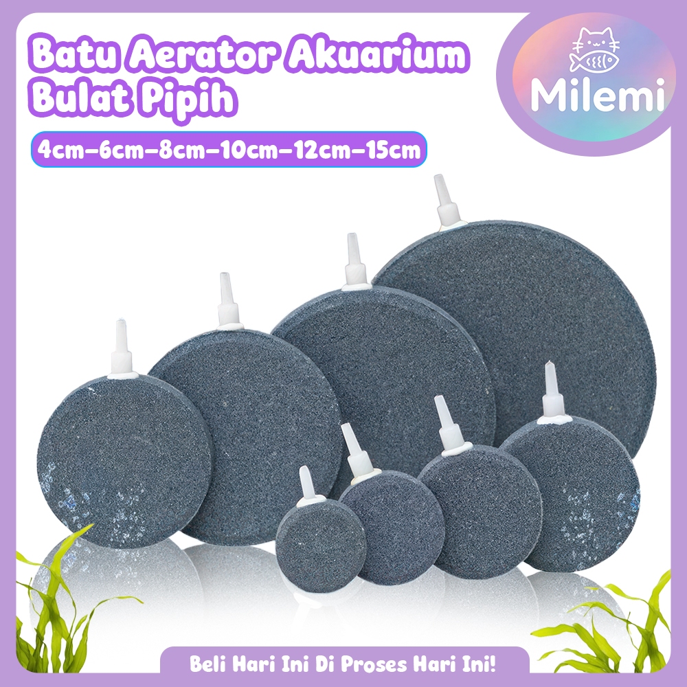 Batu Aerator Bulat Pipih Aquarium Air Stone 4mm Gelembung Udara Besar