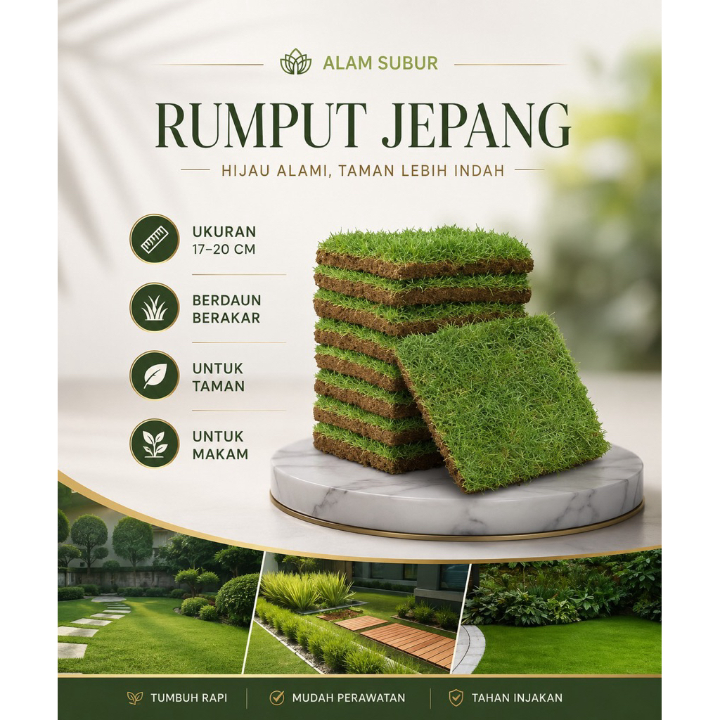 RUMPUT JEPANG 1 KOTAK UKURAN 17-20 CM UNTUK TAMAN KUBURAN