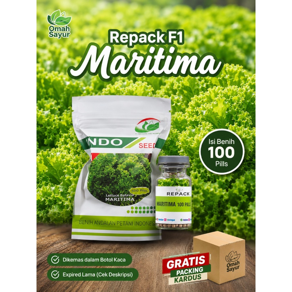Benih Selada MARITIMA Indo Seeds REPACK F1 Original Isi 100 Pills | Bibit Batavia Lettuce Hidroponik
