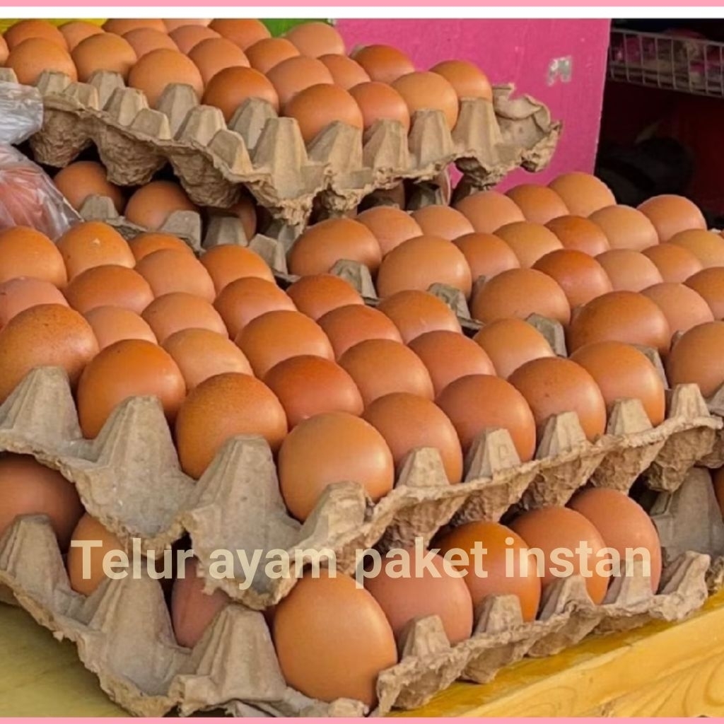Telur Ayam Negeri 1kg isi 15,16,17 kirim instan Telor Ayam