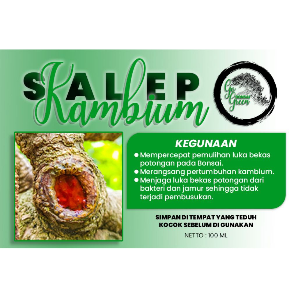 salep kambium