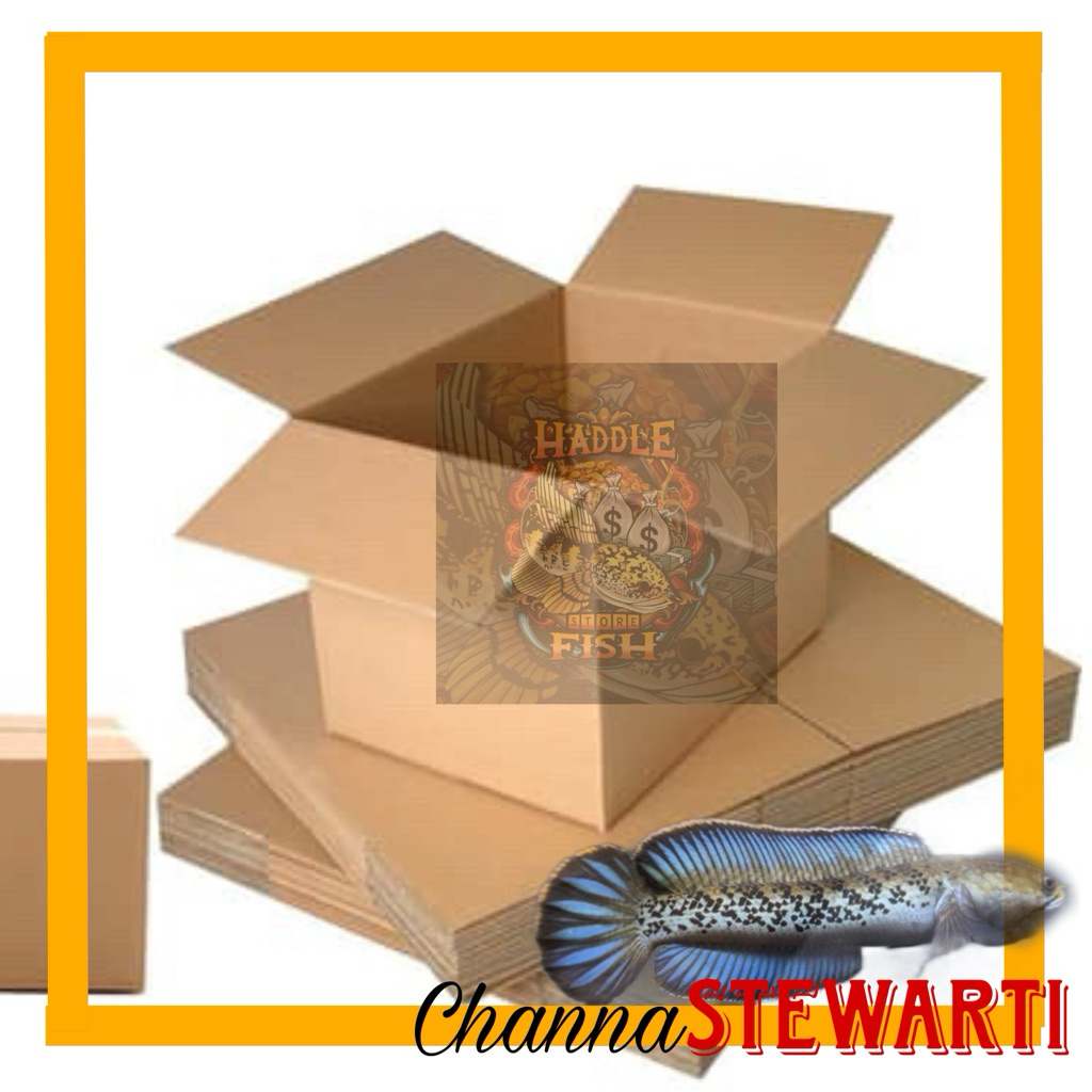 Box Packing Channa Stewarti Flaring