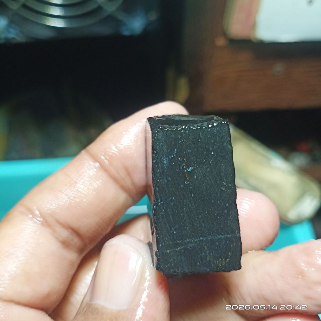 Batu Fo-sil kayu kelor - bahan batu akik fo-sil kelor - Rough Batu Akik